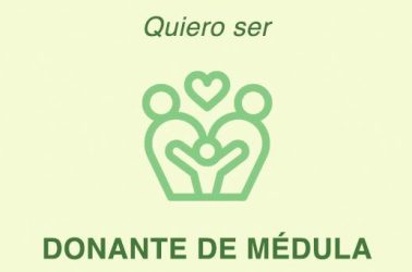 medula (1)